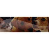 Hathcock Shannon DVM - Veterinarians/Vets in Birmingham