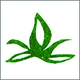 Naturchem Inc - Other in Alabaster