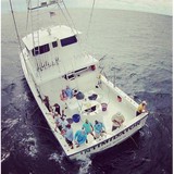 Intimidator Sport Fishing Inc - Other in Orange Beach
