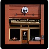 Ace LLC - Pest Control in Birmingham