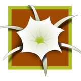 Cahaba Dental Arts LLC - Dentists in Helena