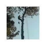 Dennis Tree Service - Other in Montevallo