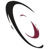 Vibez Entertainment Technology Company Inc - Other in Opelika