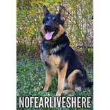 NoFearLivesHere K9's - Other in Henagar