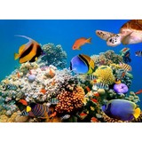 Ed's Pet World - Pet Stores in Birmingham