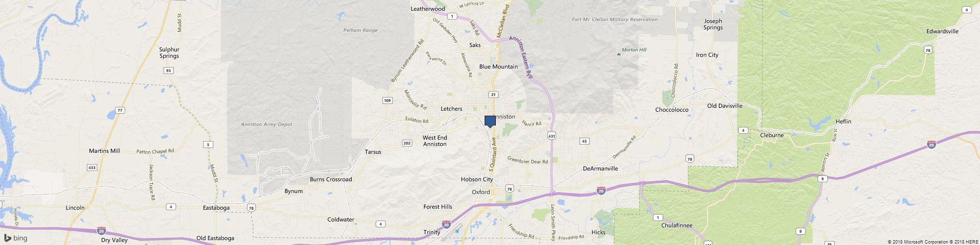 Arc-Calhoun Cleburne Counties cover photo