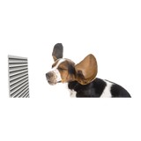 Corbins Your Indoor Air - Other in Arab