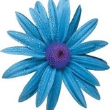 Total Skin & Beauty Dermatology Center - Dermatologists in Birmingham