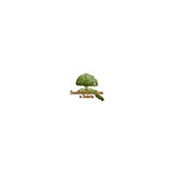 Southeastern Tree And Debris - Other in Trussville