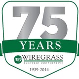 Wiregrass Electric CO-OP Inc - Other in Daleville