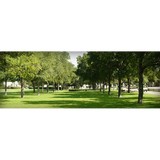 All Summer Lawns - Landscape Architects in Birmingham