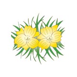 Field in Bloom Nursery - Other in Silverhill