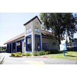Speedee Oil Change & Tune Up - Other in Northport