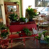 Martha Rea's Florist - Florists in Montgomery