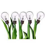 Brainstorm Business Consulting