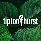 Tipton & Hurst - Florists in Conway