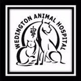 North College Animal Hospital - Animal Hospitals in Fayetteville