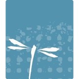 Joplimo Mattress - Mattresses in Springdale