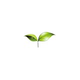 Chiropractic Wellness - Chiropractors in Fayetteville