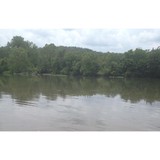 Many Islands Camp & Canoe Rntl - Other in Mammoth Spring
