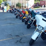 Wild Boar Promotions Inc - Other in Hot Springs Village