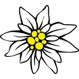 Edelweiss Inn - Motels in Eureka Springs