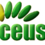 Ceus-R-Ez.com - Advertising in Mountain Home