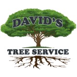 David's Tree Service - Tree Services in Little Rock