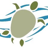 Turtle Cove Spa & Salon - Other in Hot Springs Village