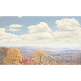 Rich Mountain Cabin Rentals - Other in Mena