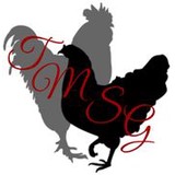 Hometown Country Living Real Estate - Other in Mena