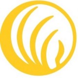 Nami - Counseling & Mental Health in Little Rock