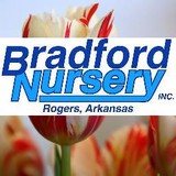 Bradford Nursery & Landscape - Landscape Architects in Rogers
