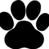 Oakwood Pet Hospital - Veterinarians/Vets in Bentonville
