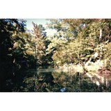 Shadowrock Inc - Other in Mena