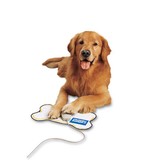 Coldwell Banker Real Estate Group - Other in Paragould