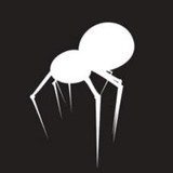 WhyteSpyder - Web Design & Development in Fayetteville