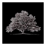 Lender's Title Co Inc - Insurance in Little Rock