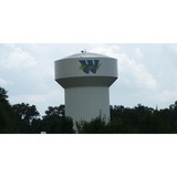 Ward Chamber of Commerce - Other in Ward