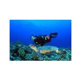 Arkansas Freedom Fund - Other in Bryant