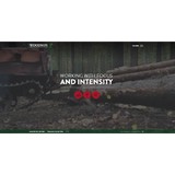 Steve Woodson Inc - Business Consulting in Little Rock