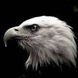 Vilonia Middle School - Other in Vilonia