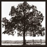 Jones Law Firm - Other in Cabot