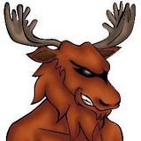 Doomsday Moose - Other in Maynard