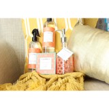 A S A P Services Inc - Other in Springdale