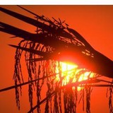 Stuttgart Chamber of Commerce - Other in Stuttgart