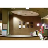 Back in Motion Family Chiro - Chiropractors in Chandler