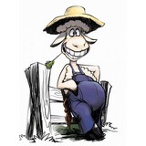 Maricopa County Fair Inc - Circuses, Fairs & Carnivals in Phoenix