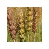 Clothes Silo - Used, Vintage & Consignment in Phoenix