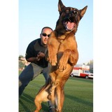 Palm Glen Animal Hospital - Veterinarians/Vets in Phoenix